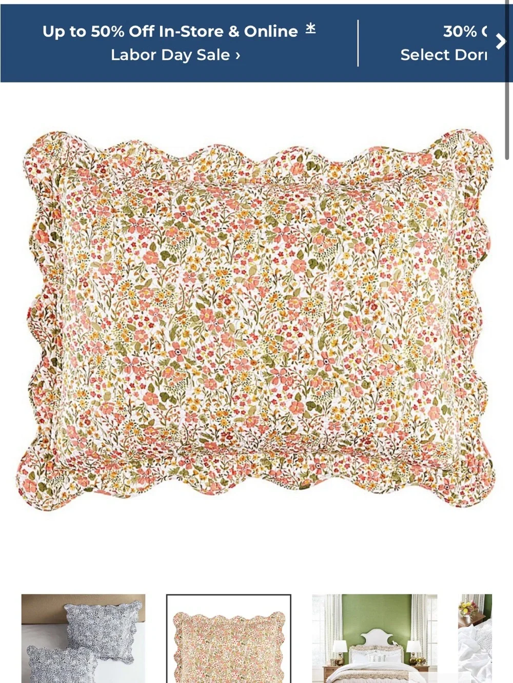 Ballards Floral Queen Quilt and Shams